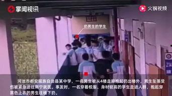 郑州中学生爆料视频事件,校园真相与网络舆论的碰撞