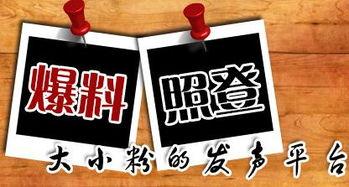 新闻爆料是什么,探寻事件背后真相