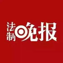 新闻爆料是什么,探寻事件背后真相