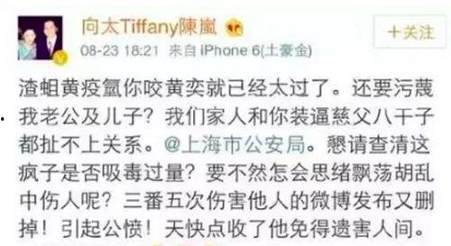 娱乐圈极品前任爆料小说,前任的致命爆料，揭开明星背后的秘密