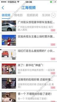海门网红爆料新闻视频,最新新闻视频揭秘事件真相