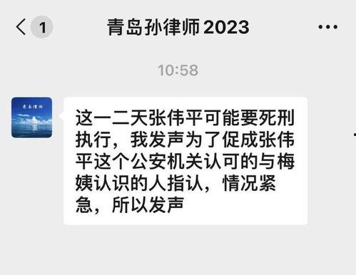 律师爆料梅姨视频播放,律师揭露惊人内幕