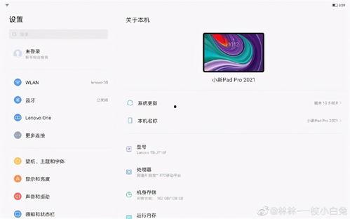 小新爆料视频大全下载,揭秘萌娃日常，笑料横生瞬间回顾