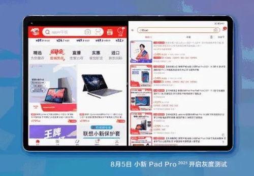 小新爆料视频大全下载,揭秘萌娃日常，笑料横生瞬间回顾