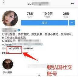 网红爆料出轨事件视频播放,真相背后引发网友热议