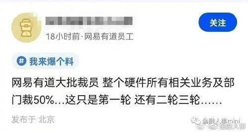 阿里裁员爆料图文搞笑视频,搞笑视频带你领略职场风云变幻