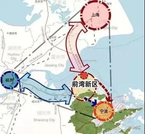 前湾新区爆料事件始末最新消息,真相大白，最新进展揭秘！”